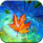 autumn leaves live wallpaper android application logo